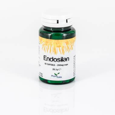 Endosilan 60 cps