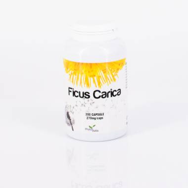 Ficus Carica 200 cps