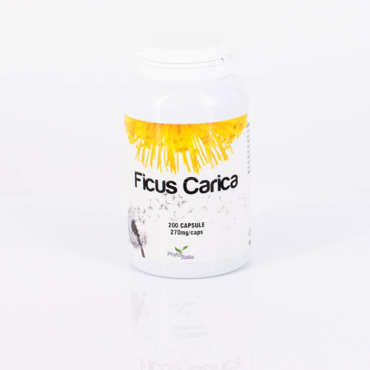 Ficus Carica 200 cps