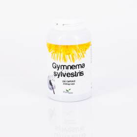 Gymnema sylvestris 200 cps