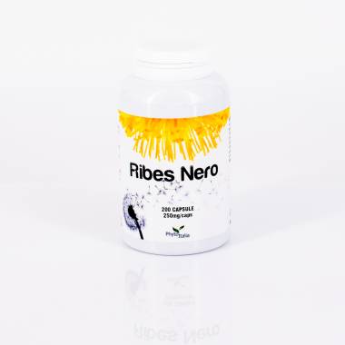 Ribes nero (Cassis) 200 cps