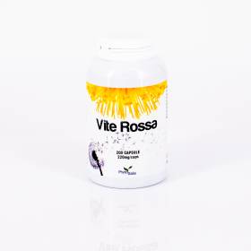 Vite Rossa 200 capsule