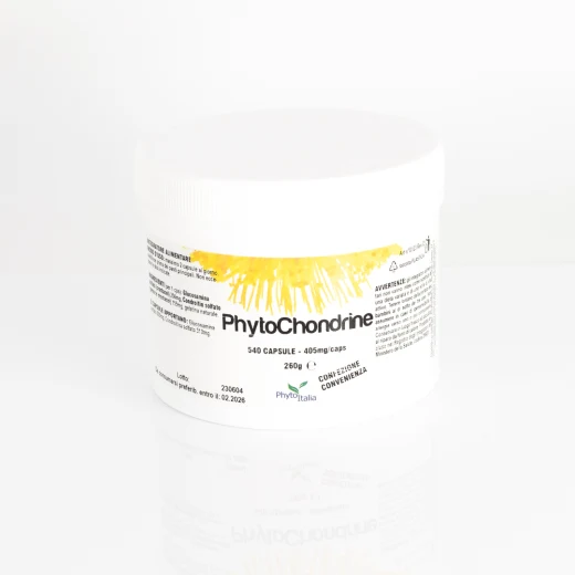 G123 | PhytoChondrine 540 capsule