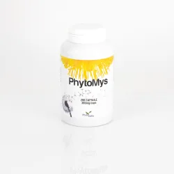 D385 | PhytoMys 200 capsule