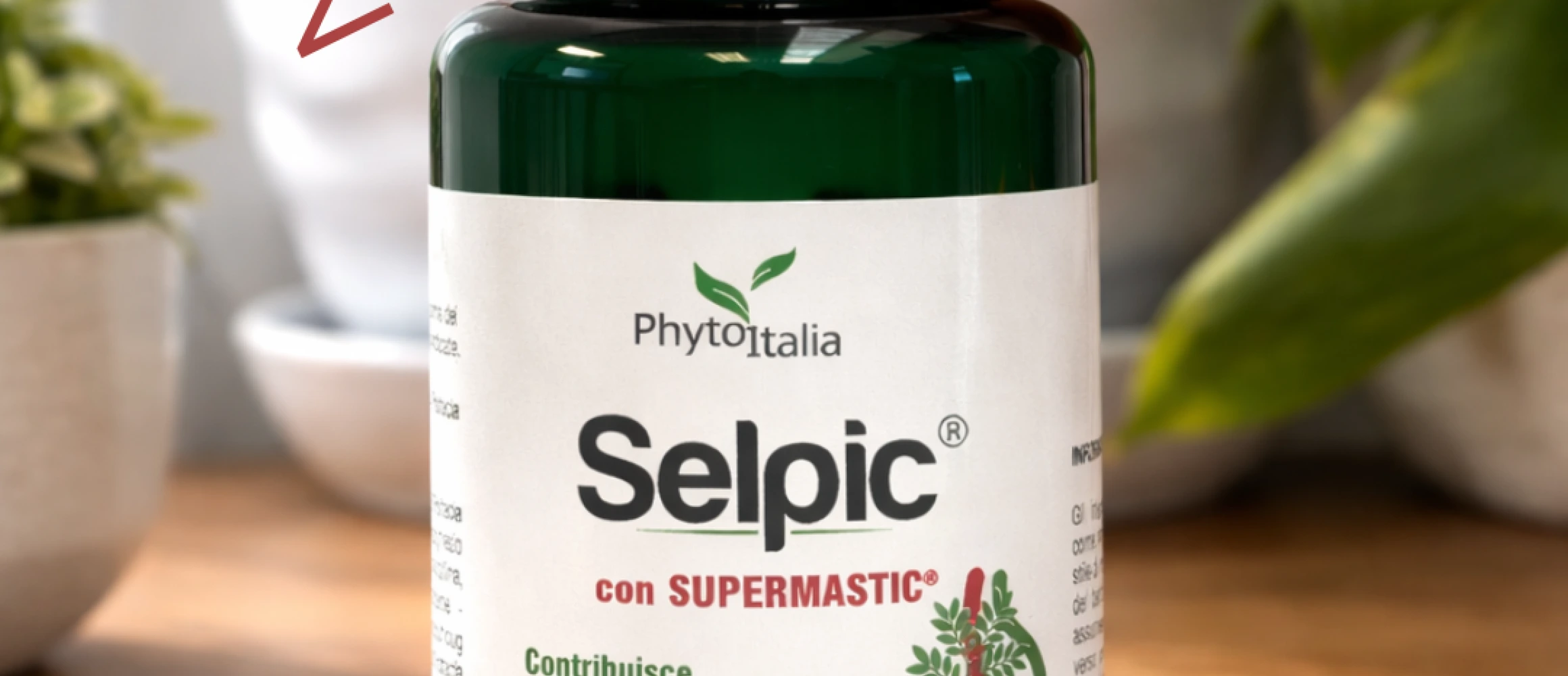 SELPIC e permeabilità intestinale: il ruolo della zonulina e il benessere dell'intestino
