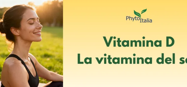 Vitamine D : le secret caché pour des os solides et des défenses plus fortes