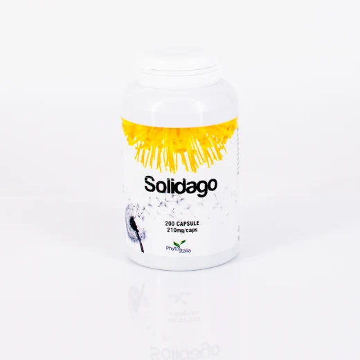 D278 | Solidago 200 capsule