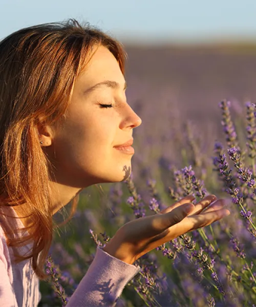 Essenze aromatiche