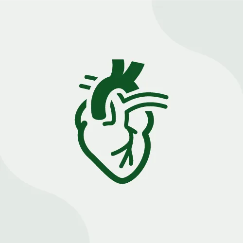 Sistema Cardio-Circolatorio