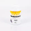 G242 | Eleuterococco 200 capsule