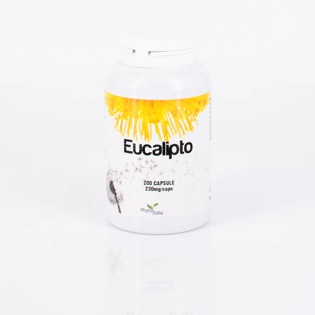 G251 | Eukalyptus 200 Kapseln