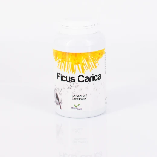G272 | Ficus Carica 200 cps