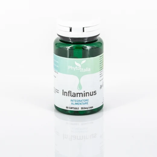 G034 | Inflaminus 60 Kapseln