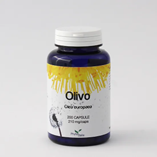G395 | Olivo 200 cps