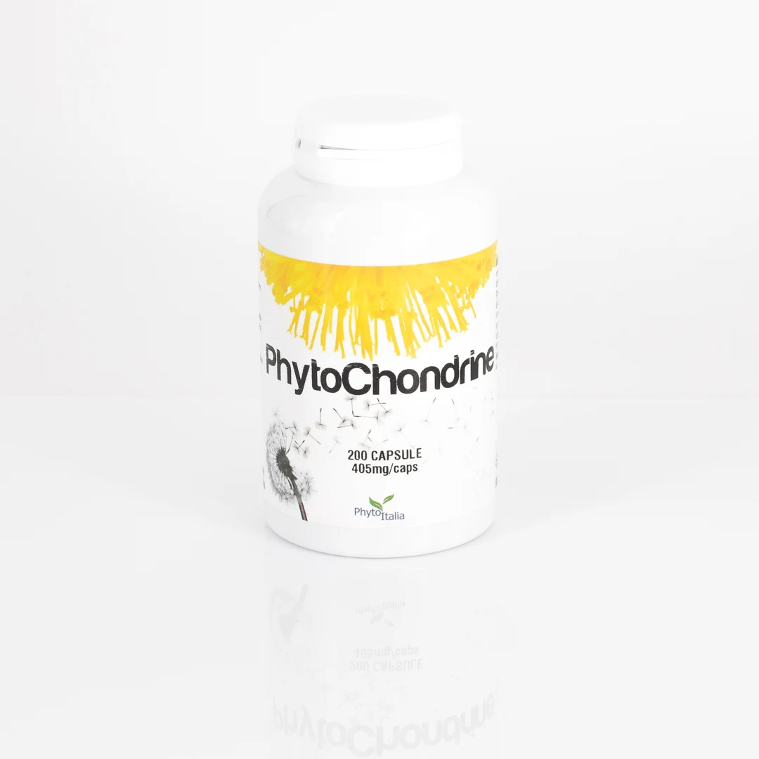 G124 | PhytoChondrine 200 capsule