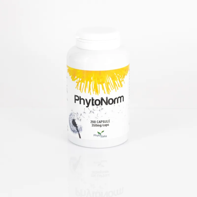 D114 | PhytoNorm 200 Kapseln