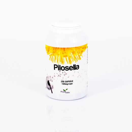 D241 | Hawkweed 200 capsules