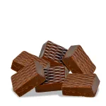 INSUFAT-1 chocolate