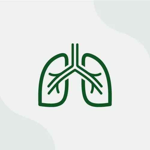 Sistema Respiratorio