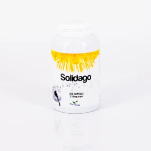 Solidago 200 capsule