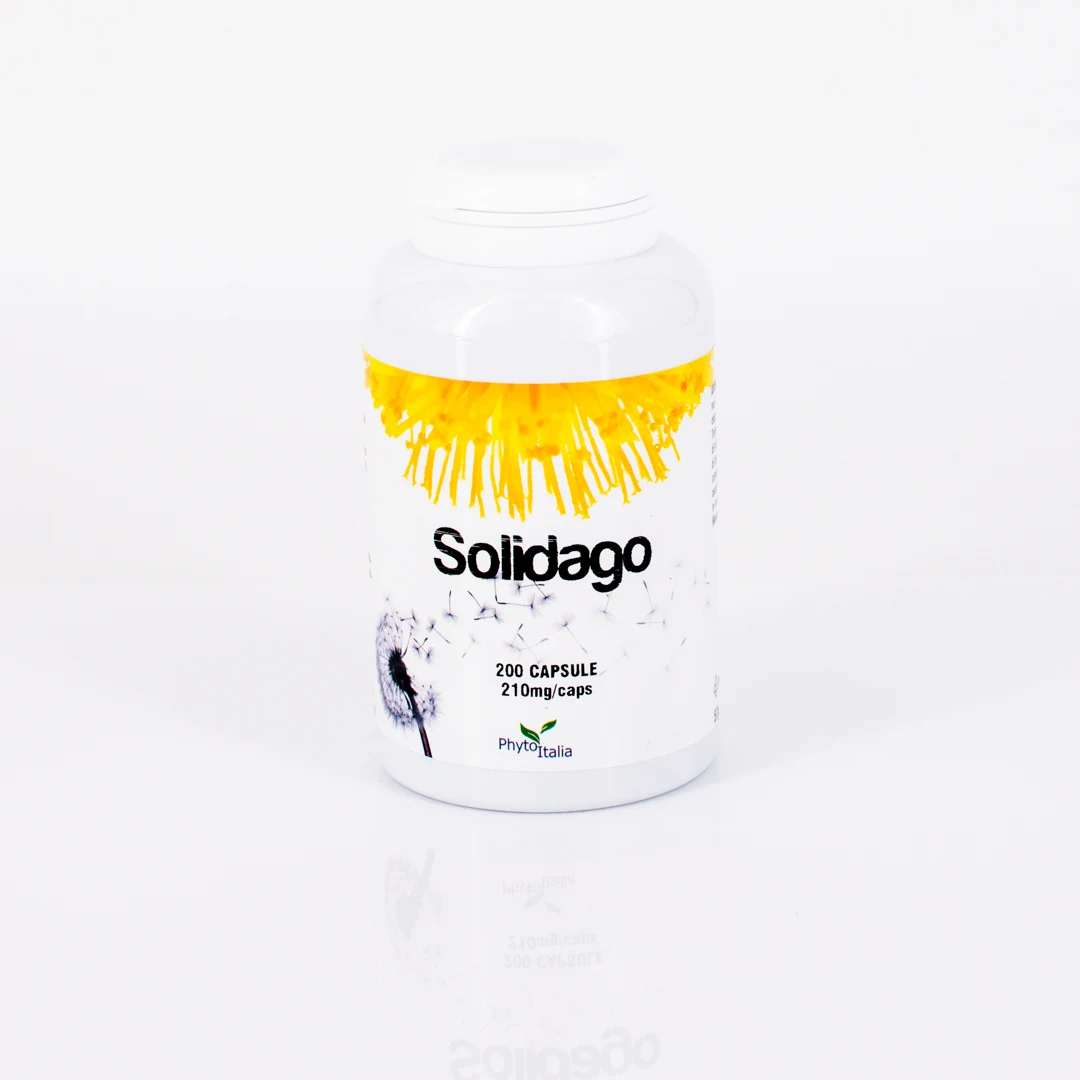 D278 | Solidago 200 capsule